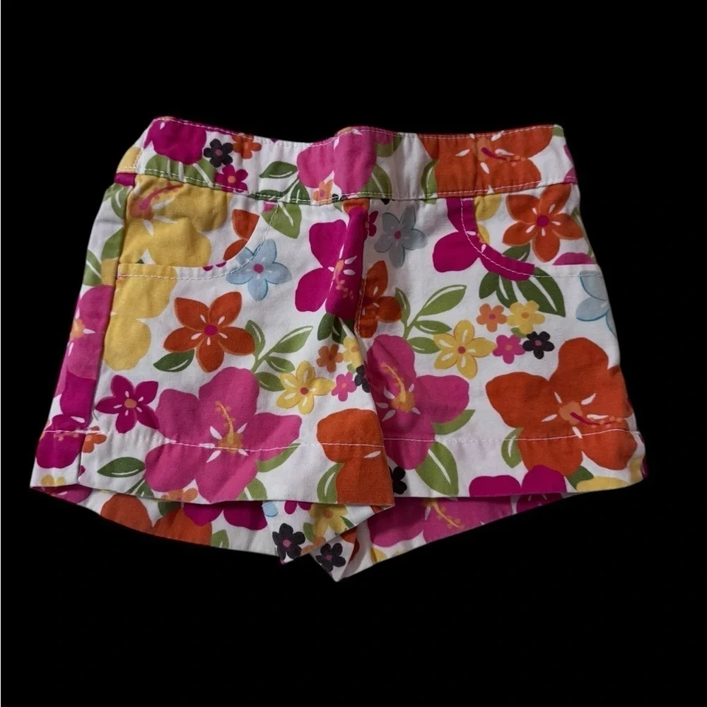 Gymboree Embroidered Graphic Short Sleeve Top And Pull On Shorts Set k155